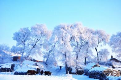 哈爾濱、亞布力、雪鄉、長白山、霧凇島雙飛八日游